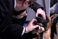 To zdarzyło się w Polsce!