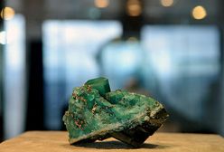 Filmowy przegląd tygodnia