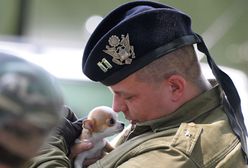To zdarzyło się w Polsce!