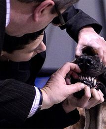 To zdarzyło się w Polsce!