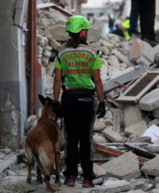 Trzęsienie ziemi we Włoszech