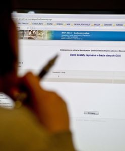 Zobacz, ilu Polaków skorzystało ze spisu przez internet