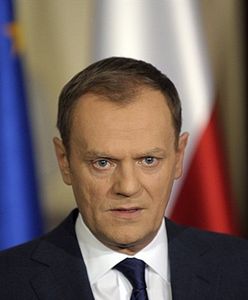 Tusk znów rośnie w siłę? Zobacz najnowszy sondaż