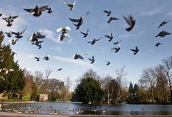 Czy boimy się globalnego ocieplenia?