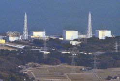 "Elektrownia Fukushima będzie zrównana z ziemią"