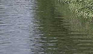 Rośnie poziom wód na Lubelszczyźnie