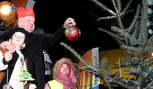 w Krakowie pod oknem papieskim stanęła choinka