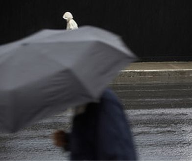 Wiosna w zimie? Będzie bardzo ciepło!