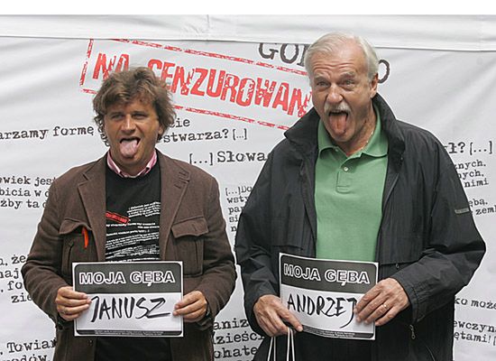 Obraz