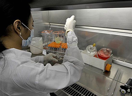 Naukowcy podzieleni ws. nowej grypy A/H1N1