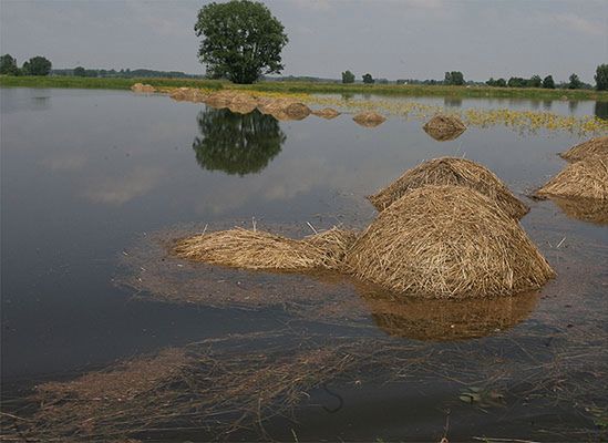 Prawie 400 mln strat po powodzi na Podkarpaciu