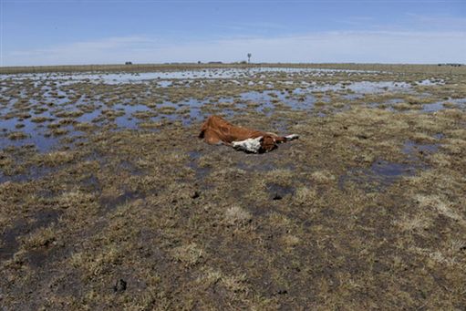 Największa klęska suszy od 50 lat w Argentynie