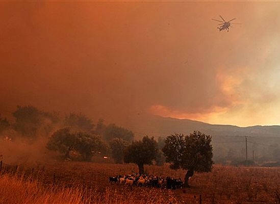Wielki pożar koło Aten - ewakuowano 10 tys. ludzi