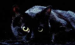 "Obróć się w koło, bo... szatan porwie twoje dzieci"