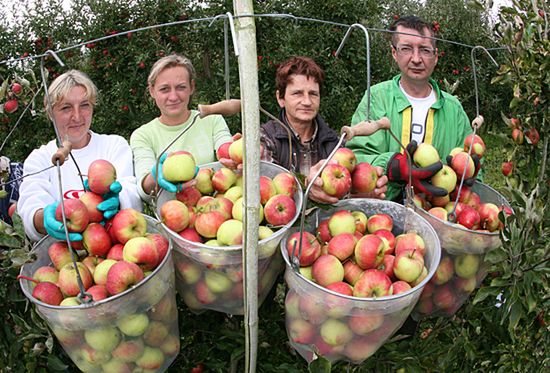 Polacy zrobili się wybredni, nie biorą "byle czego"