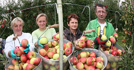 Polacy zrobili się wybredni, nie biorą "byle czego"
