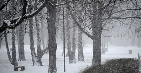 Atak mrozów: - 29 stopni, nie będzie cieplej - pustki w szkołach, autobusy stoją