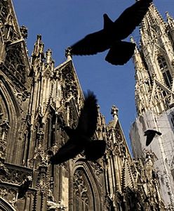 Polacy wcale nie chcą tam jechać do pracy