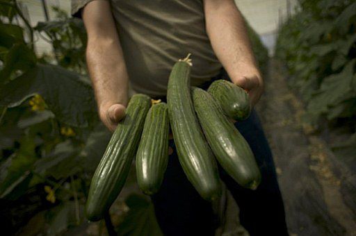 Rosja znosi embargo na import warzyw z Polski
