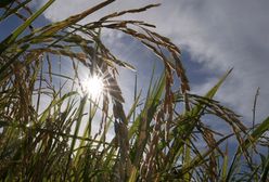 Sprawdź jaka pogoda czeka Cię w weekend