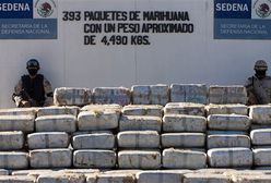 Znaleźli 25 ton marihuany... pod ziemią - film