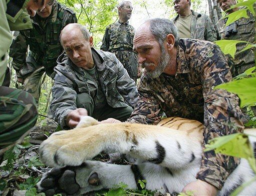 Putin ocalił dziennikarzy przed atakiem dzikiego tygrysa