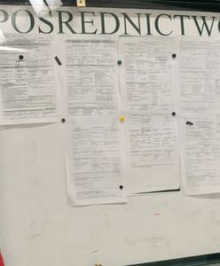 Bezrobotni nie szukają pracy