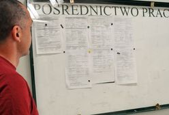 Bezrobotni nie szukają pracy