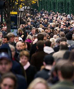 Polacy znów emigrują na Wyspy Brytyjskie
