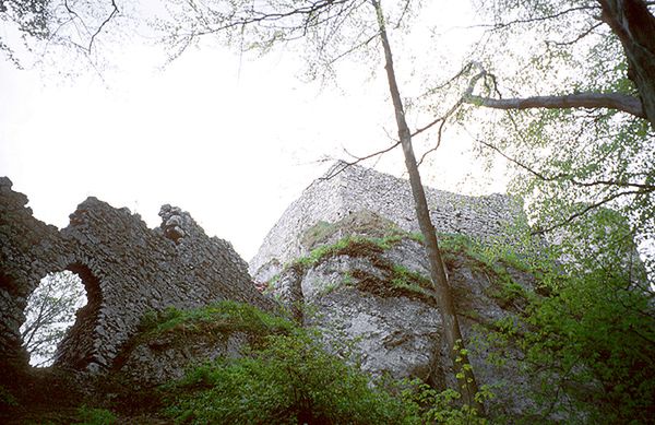 Szczątki ludzkie odkopano na zamku w Smoleniu