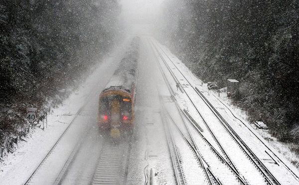 Pociąg pasażerski zabił 48 reniferów w Laponii