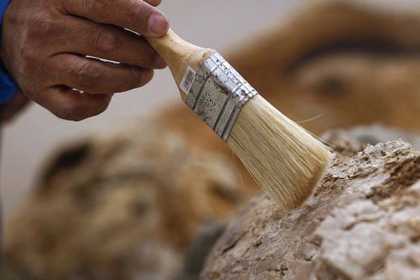 Polscy archeolodzy znaleźli w Sudanie narzędzia sprzed 1,5 mln lat