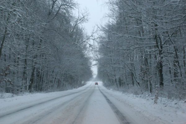 Synoptycy już wiedzą: wtedy spadnie śnieg