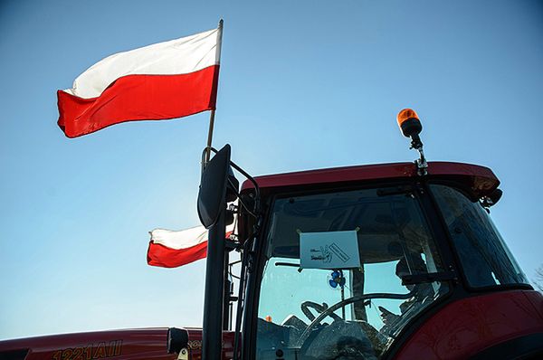 Wiesław Dębski: ws. wieprzowiny Francja, Holandia i Dania dogadały się z Rosją za plecami Polski