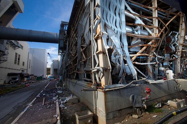 Zbadali kurz z odkurzaczy, okolice Fukushimy nadal skażone