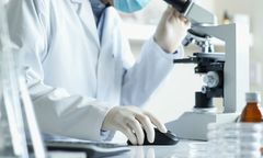 Żyją dwa razy dłużej dzięki upojeniu alkoholem