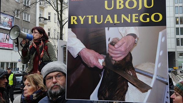 Zdaniem obrońców zwierząt, ubój przez podrzynanie gardła i wykrwawianie bez pozbawienia świadomości jest zadawaniem zwierzęciu przedśmiertnych męczarni