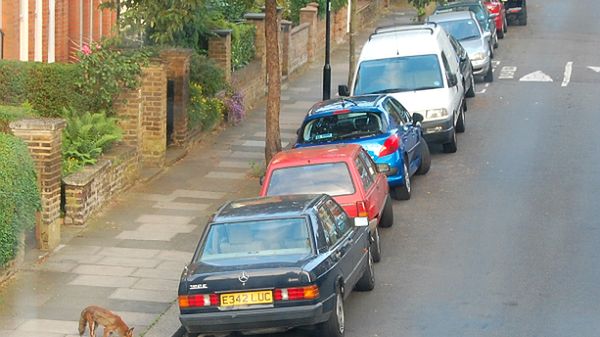 Lisy na londyńskich ulicach to nie jest niezwykły widok