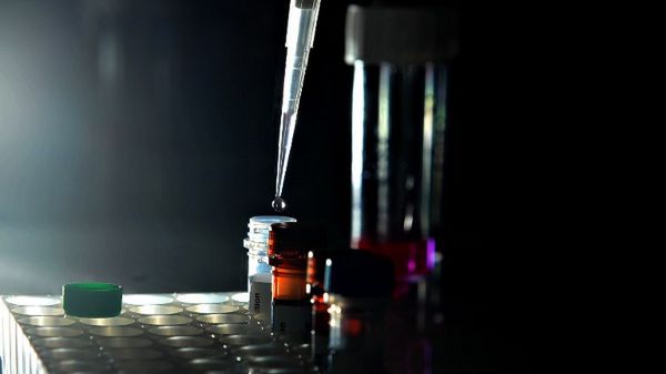 Próbki do bazy będą zbierane od rodzin ofiar w postaci śliny