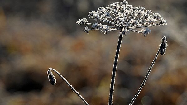 Zima nadchodzi wielkimi krokami