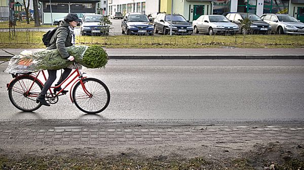 94% Polaków deklaruje, że będzie miało w domu choinkę