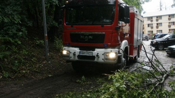 Synoptycy ostrzegają, że wiatr może łamać drzewa i zrywać linie energetyczne - zdjęcie archiwalne