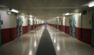 Przedmieścia i więzienia - europejskie inkubatory terroryzmu