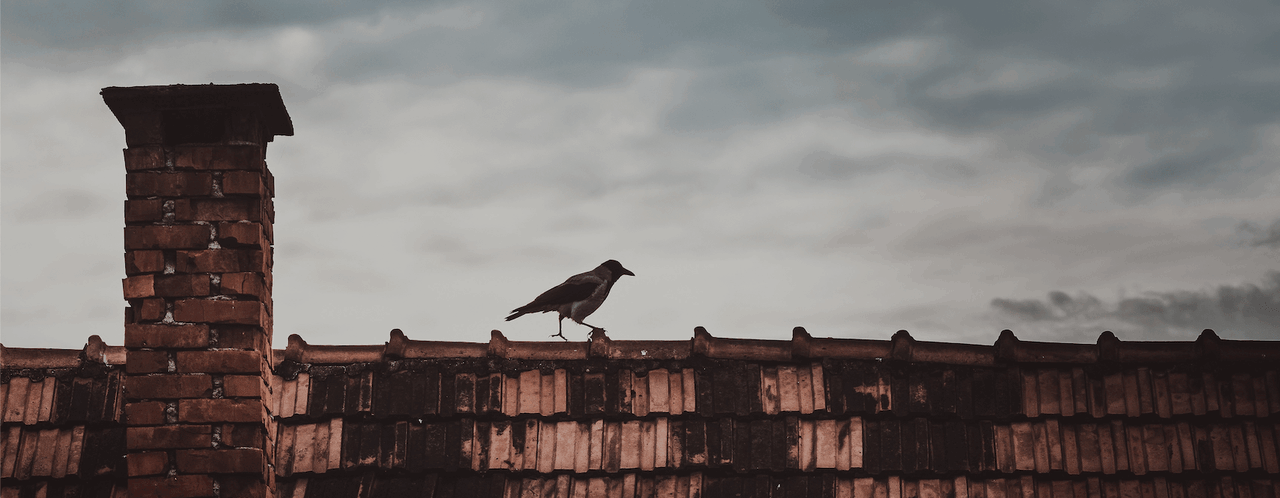 Kara ograniczenia wolności za palenie węglem po wprowadzeniu zakazu w Krakowie