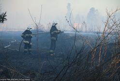 Pożar trzcinowiska w Zachodniopomorskiem. Wystąpiła burza ogniowa