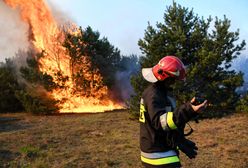 Płonie las pod Bydgoszczą. Strażacy: winne grille i ogniska