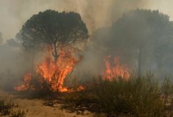 Tak wyglądała ewakuacja Polaków z pożaru. "Dym wdzierał się do pokojów, ogień się zbliżał"