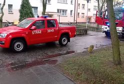 Pożar w Lesznie. Strażacy interweniowali przy ul. Czechosłowackiej