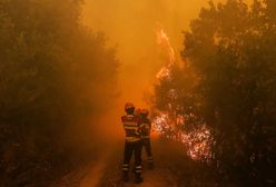 Portugalia: podpalenie przyczyną pożarów?