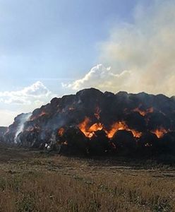 Zabawa dzieci mogła zakończyć się tragedią. Straty sięgnęły kilkudziesięciu tysięcy złotych